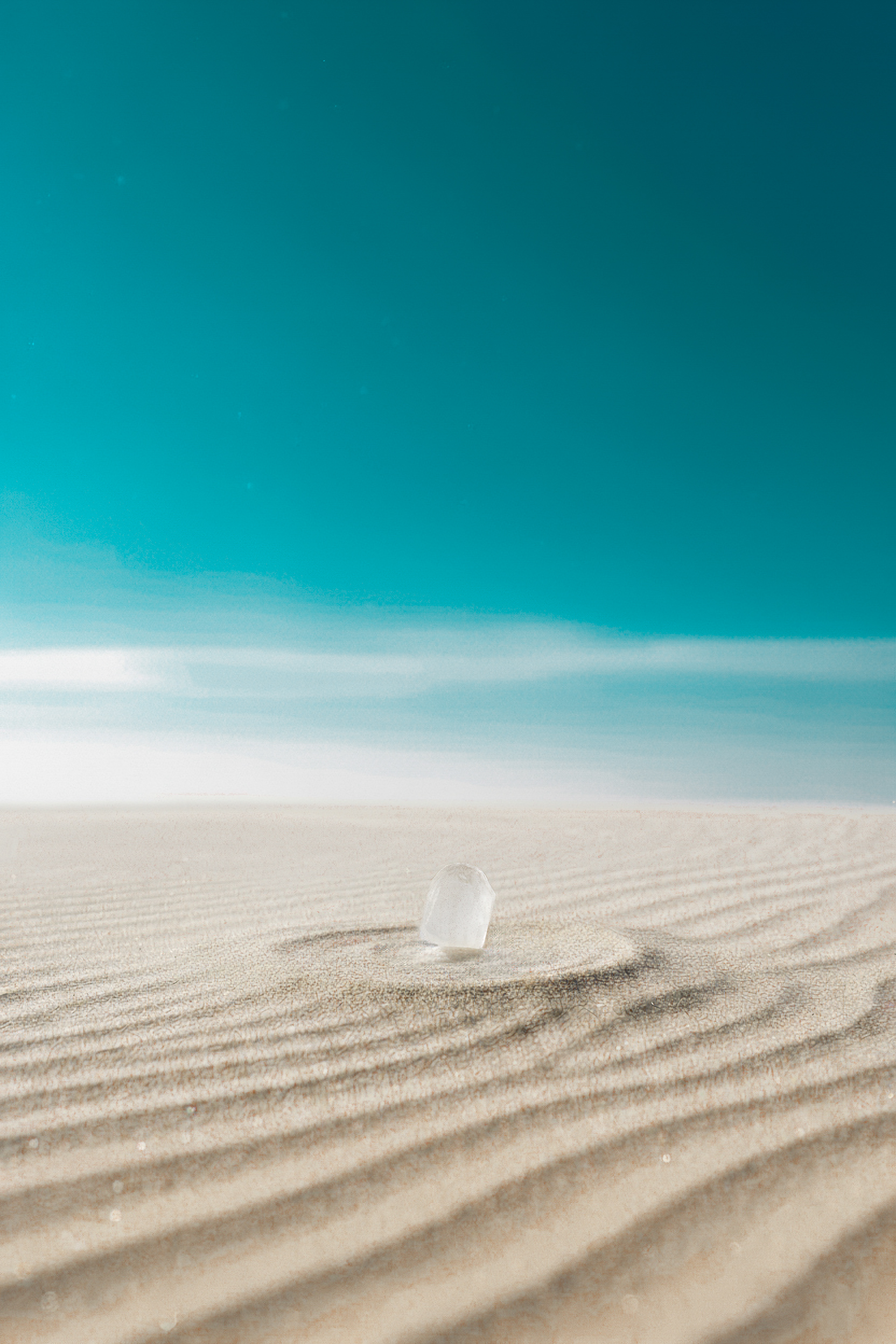 블랑쉬 - 블랑쉬치과